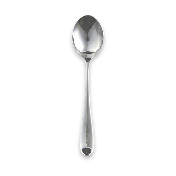 Vision Salad Serving Spoon