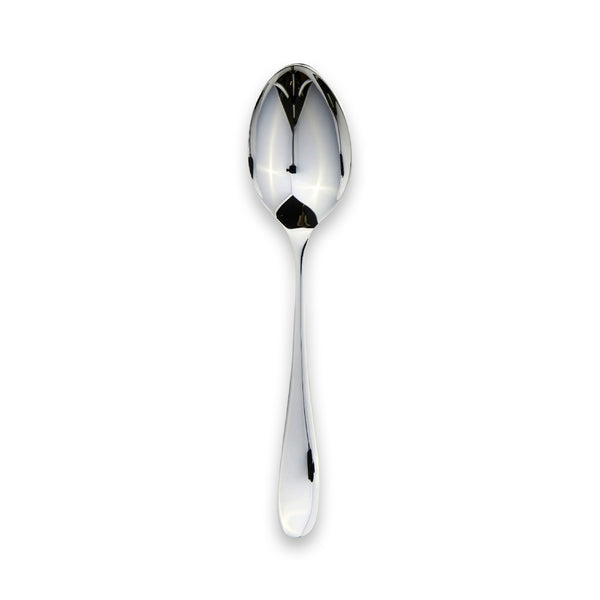 Vision Large Tea Spoon